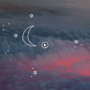 Meet your Posher, Abigayle